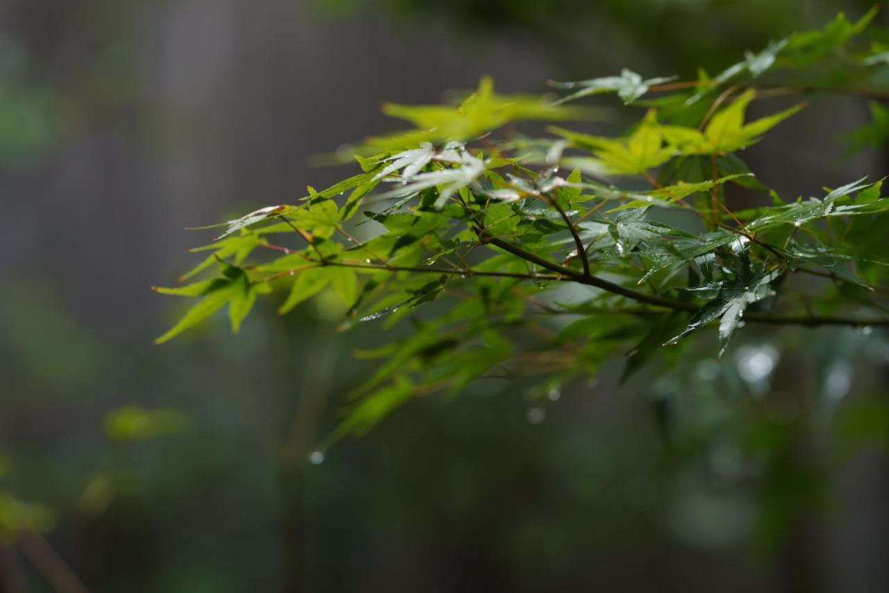 滔々 御崎 町家の宿 Toutou Onzaki Machiya No Yado Kurashiki Eksteriør billede